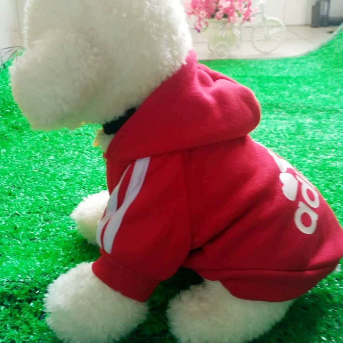 Golden Retriever Chinese Pastoral Dog Clothes