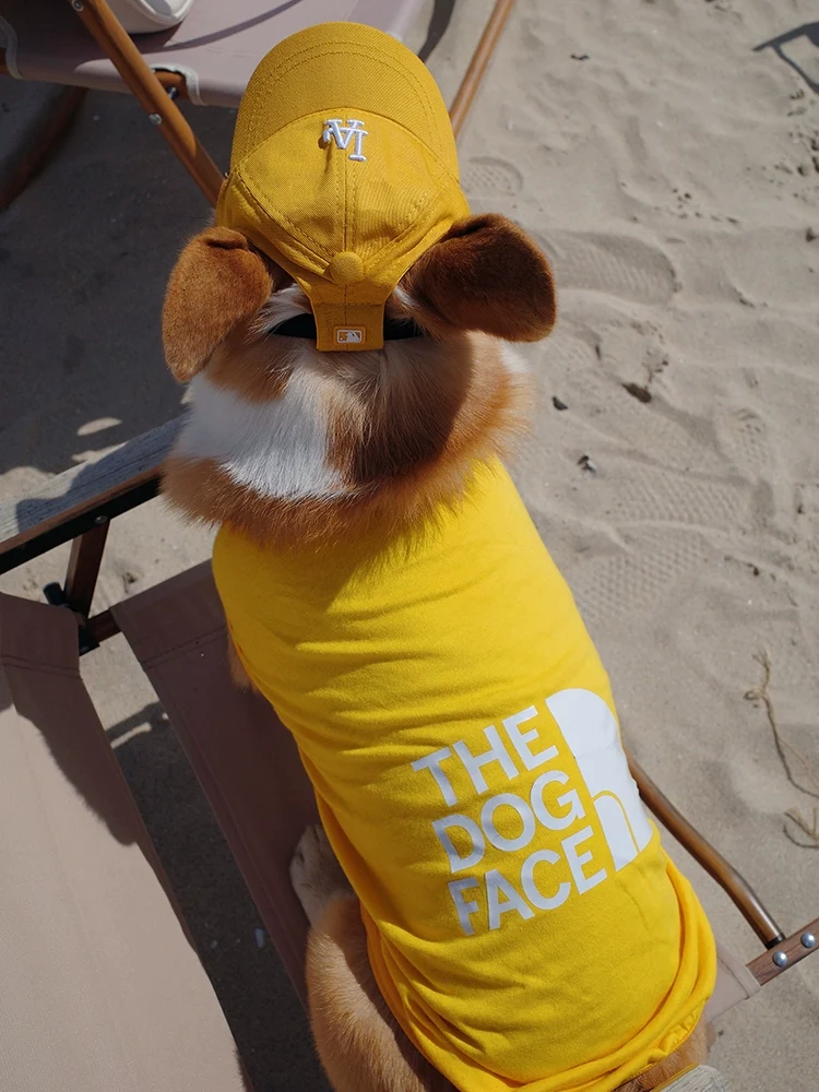 Pet Sleeveless Breathable Vest Spring and Summer Clothes Anti-Hair Loss Fat Dog Shaving Sun Protection Clothing Trendy Sports T-shirt Corgi