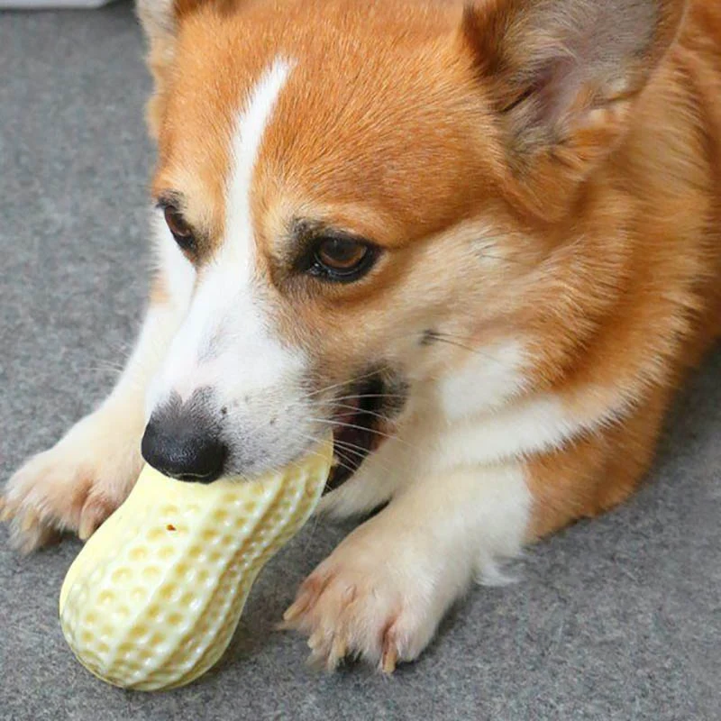 Dog Peanut Butter Toy | Peanut Butter Flavored Dog Toys