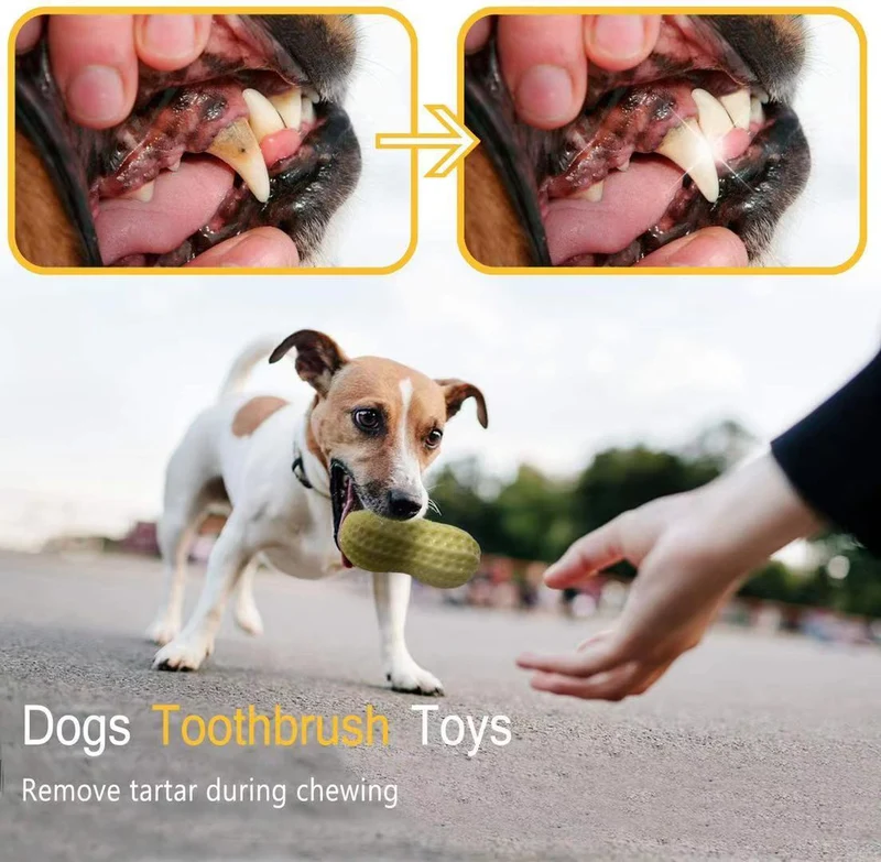 Dog Peanut Butter Toy | Peanut Butter Flavored Dog Toys