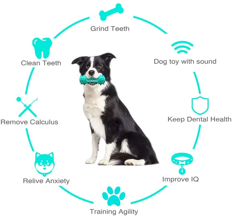 Chew Toys for Aggressive Chewers | Teething & Soothing Flexible Toy