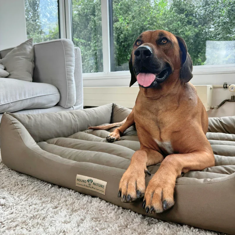 Hundebett Bern von HOUND&NATURE | Recycelte Materialien | Oeko-Tex® Standard 100 | Taupe