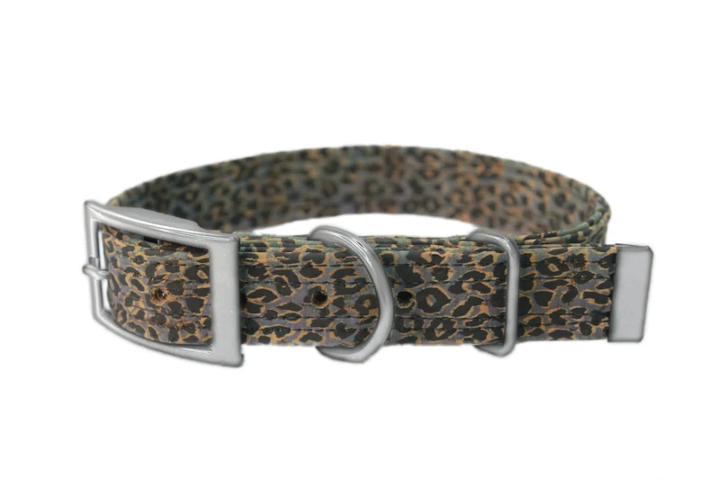 Hundehalsband mit Dornschnalle | Korkleder | Robust & Vegan | Leo blau/silber