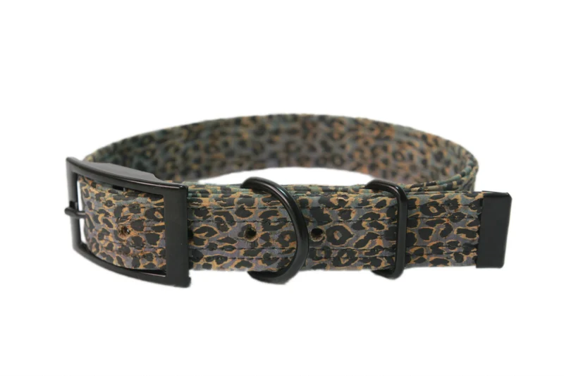 Hundehalsband mit Dornschnalle | Korkleder | Robust & Vegan | Leo blau/schwarz