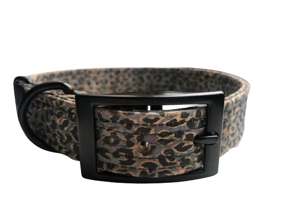 Hundehalsband mit Dornschnalle | Korkleder | Robust & Vegan | Leo blau/schwarz