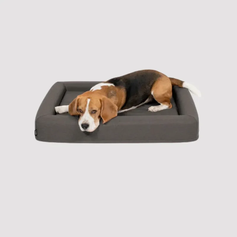 FINNTO® Hundebett orthopädisch | Antiallergen | FAIRTRADE zertifiziert & Oeko-Tex® Standard | Dunkelgrau