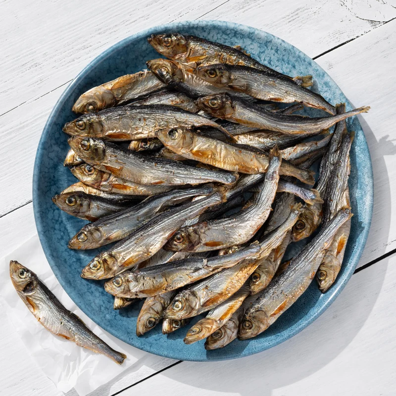Futter-Retter: Sprotten, groß (9 cm) (leicht ölige Charge)