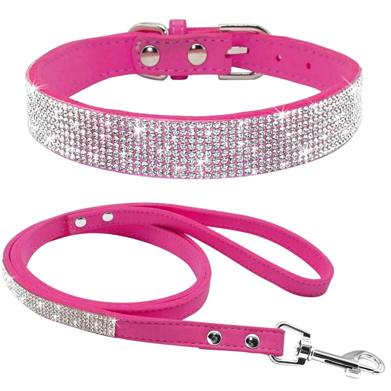 Dog Collars and Leashes