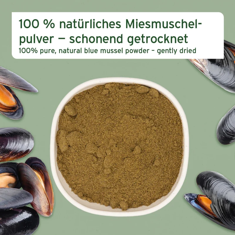 AniForte Muschelkraft Pulver – Natürliche Gelenkunterstützung für Hunde & Katzen mit Blauer Miesmuschel als Futtertopping