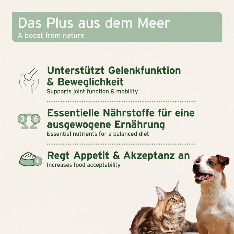AniForte Muschelkraft Pulver – Natürliche Gelenkunterstützung für Hunde & Katzen mit Blauer Miesmuschel als Futtertopping