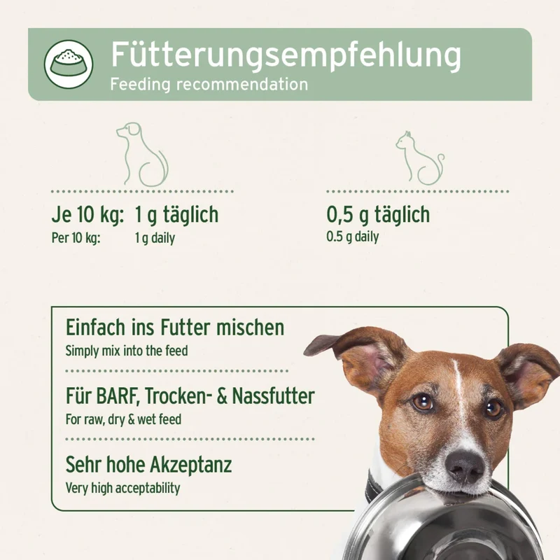 AniForte Muschelkraft Pulver – Natürliche Gelenkunterstützung für Hunde & Katzen mit Blauer Miesmuschel als Futtertopping