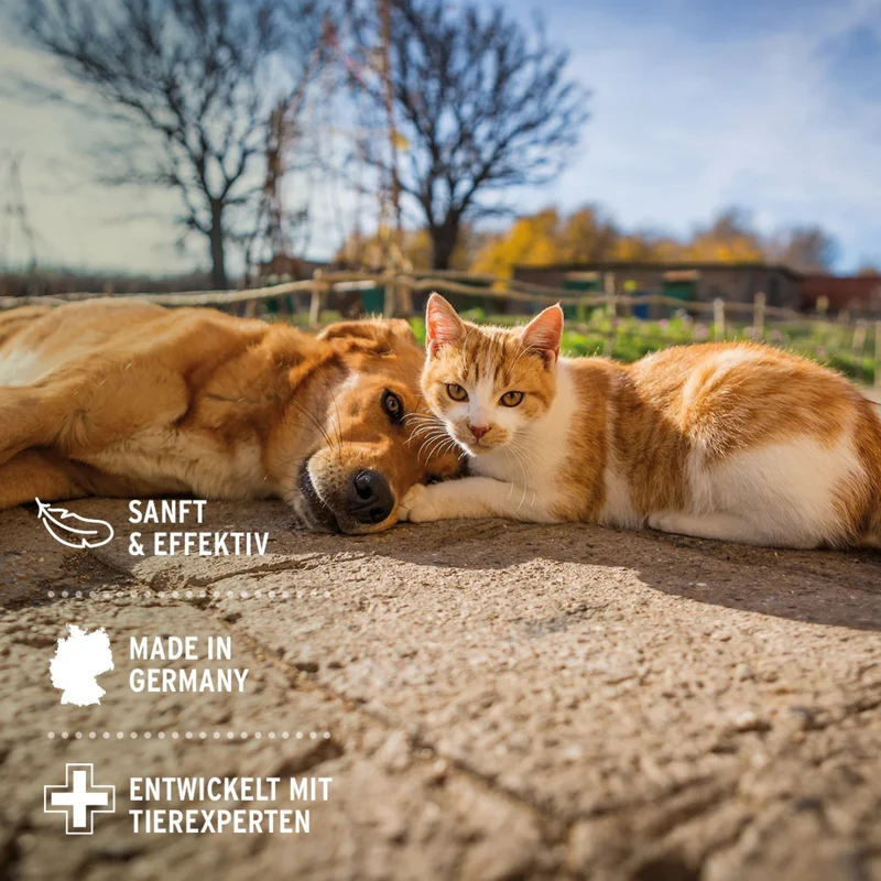 AniForte Relax Spray für Hunde & Katzen – Natürliche Beruhigung bei Stress, Angst & Unruhe durch Silvester, Gewitter & Autofahrten