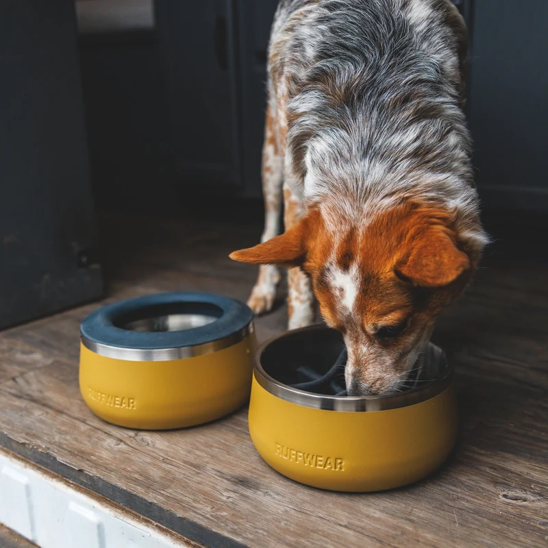 Ruffwear Basecamp Slow Feeder Insert – Anti-Schling-Einsatz für gesünderes Fressen & bessere Verdauung