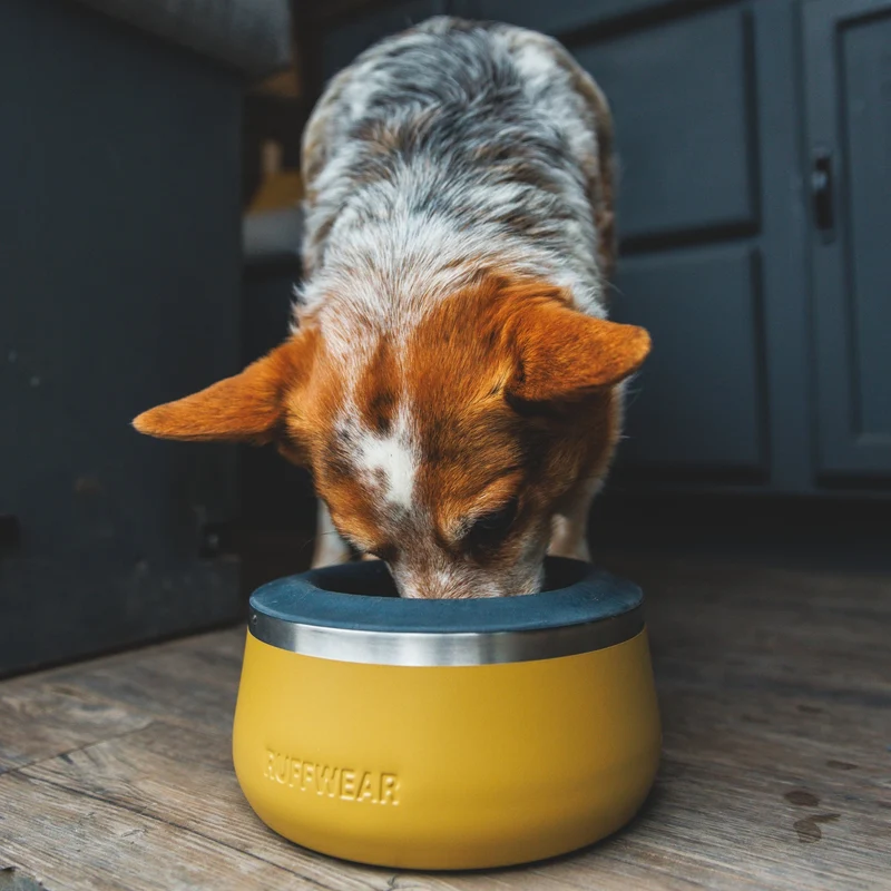 Ruffwear Basecamp Anti-Splash Insert – Spritzschutz-Einsatz für saubere Fütterung ohne Wasserverschüttung