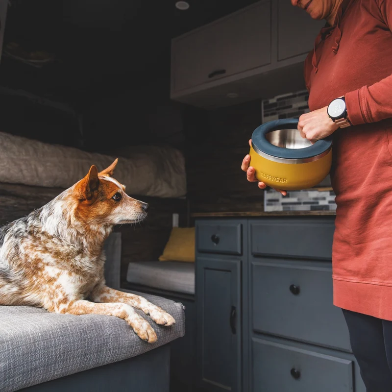 Ruffwear Basecamp Anti-Splash Insert – Spritzschutz-Einsatz für saubere Fütterung ohne Wasserverschüttung