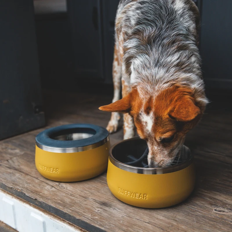 Ruffwear Basecamp Anti-Splash Insert – Spritzschutz-Einsatz für saubere Fütterung ohne Wasserverschüttung