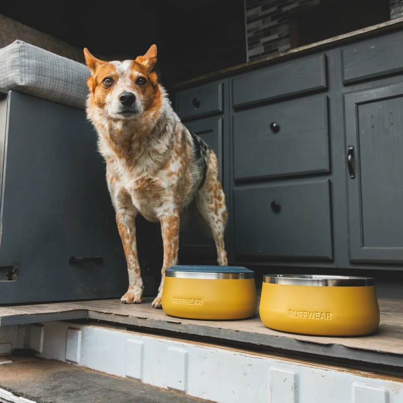 Ruffwear Basecamp Anti-Splash Insert – Spritzschutz-Einsatz für saubere Fütterung ohne Wasserverschüttung