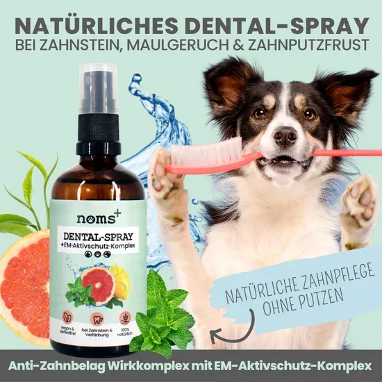 Natürliches Noms+ Dentalspray bei Zahnstein uvm. | Hoch-effektive Pflanzenextrakte | Für Hunde & Katzen | 100% vegan & tierleidfrei