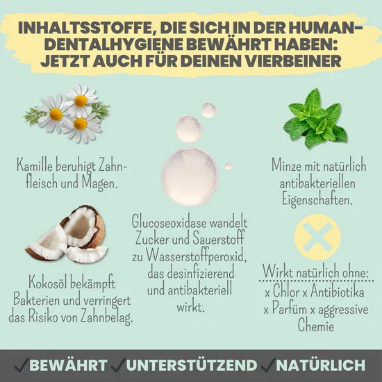 Natürliches Noms+ Zahnpflege Trio | Dentalspray - Zahncreme - Fingerling | 100% vegan & tierleidfrei
