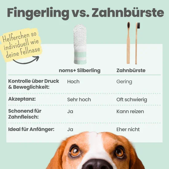 Natürliches Noms+ Zahnpflege Trio | Dentalspray - Zahncreme - Fingerling | 100% vegan & tierleidfrei