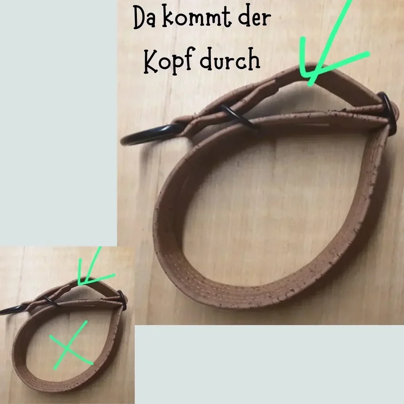 Zugstopp Halsband | Korkleder | Robust & Vegan | Mint | Beschläge wählbar