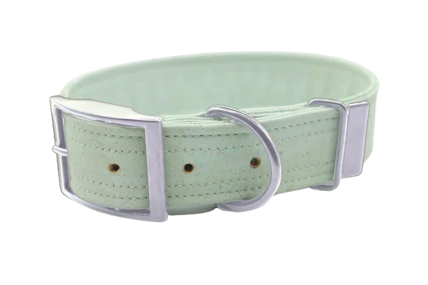 Hundehalsband mit Dornschnalle | Korkleder | Robust & Vegan | Mint/Silber