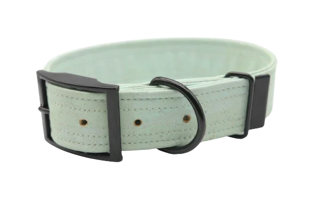 Hundehalsband mit Dornschnalle | Korkleder | Robust & Vegan | Rainbowglimmer/Schwarz