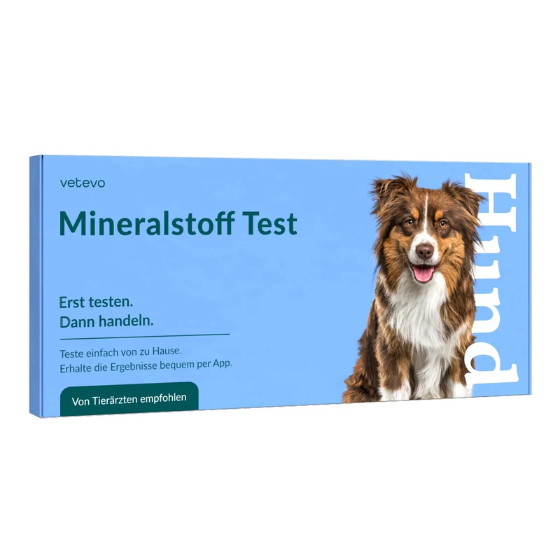 Vetevo Mineralstoff Test Plus Hund – Fellanalyse auf 19 Mineralstoffe, Spurenelemente & toxische Metalle | Schwermetall-Belastung erkennen | Einfach zuhause testen
