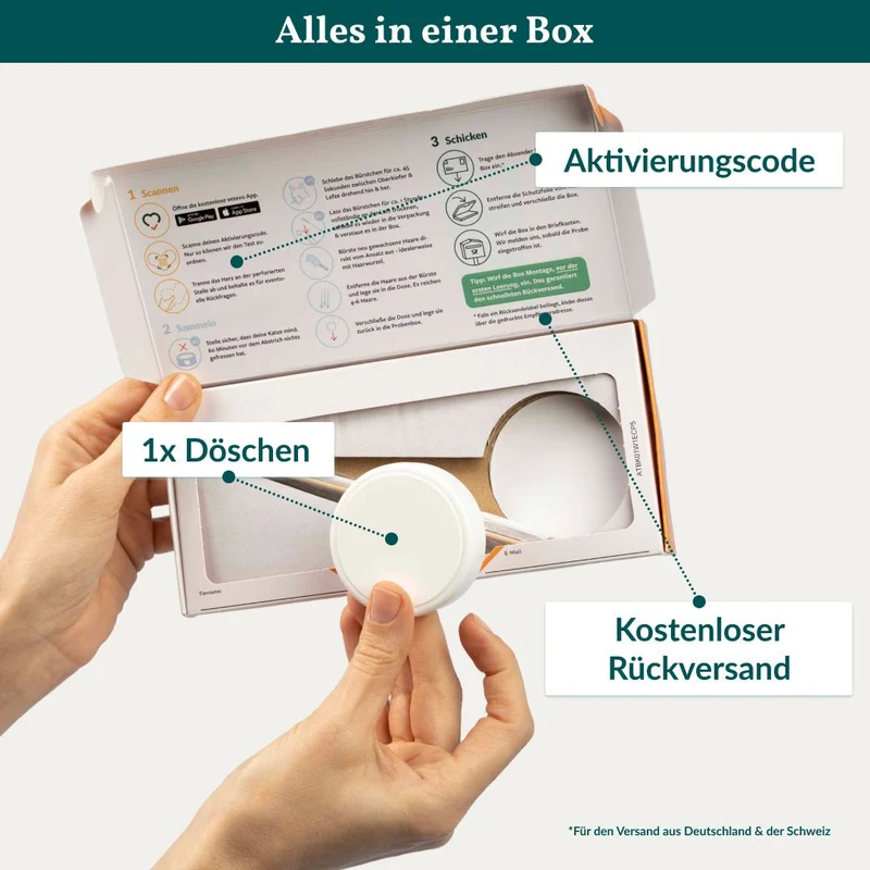 Vetevo Mineralstoff Test Plus Hund – Fellanalyse auf 19 Mineralstoffe, Spurenelemente & toxische Metalle | Schwermetall-Belastung erkennen | Einfach zuhause testen