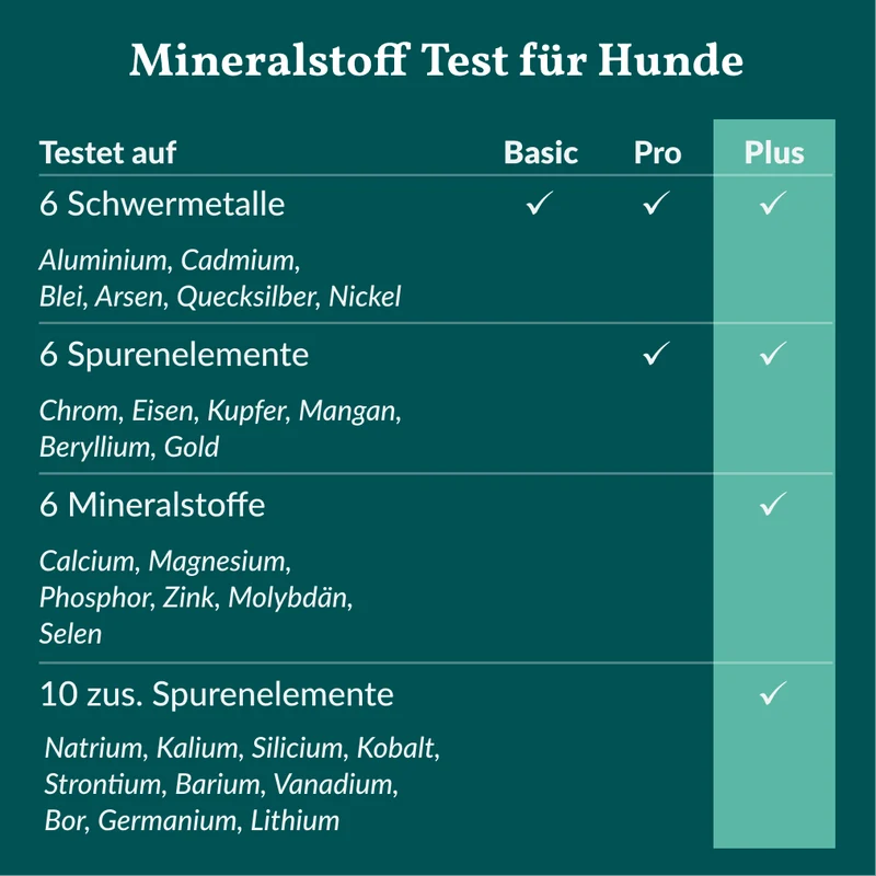 Vetevo Mineralstoff Test Plus Hund – Fellanalyse auf 19 Mineralstoffe, Spurenelemente & toxische Metalle | Schwermetall-Belastung erkennen | Einfach zuhause testen
