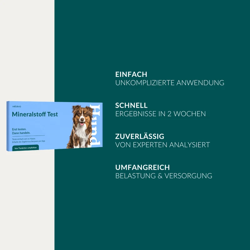Vetevo Mineralstoff Test Plus Hund – Fellanalyse auf 19 Mineralstoffe, Spurenelemente & toxische Metalle | Schwermetall-Belastung erkennen | Einfach zuhause testen
