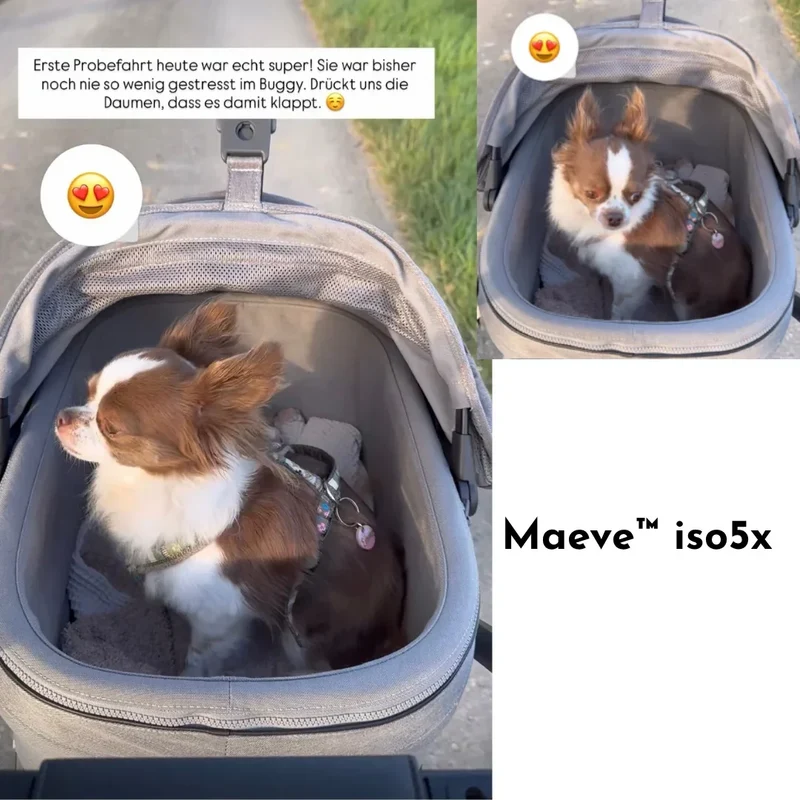 Isofix Autositz & Transportbox Maeve™ iso5x Wind Tavo | Integriertes Belüftungssystem | für Hunde bis 13.6 kg | GREENGUARD-Gold-Zertifizierung | Sakura