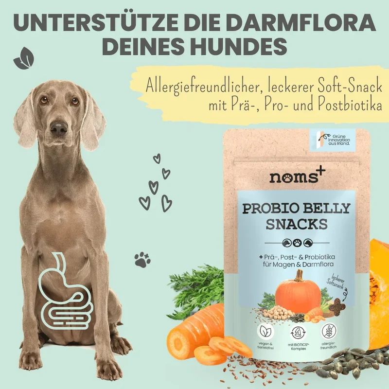 Noms+ Probio Belly Snacks für Hunde | Bei Durchfall & Verstopfung | Stärkt die Darmflora | Vegan & tierleidfrei | 200g