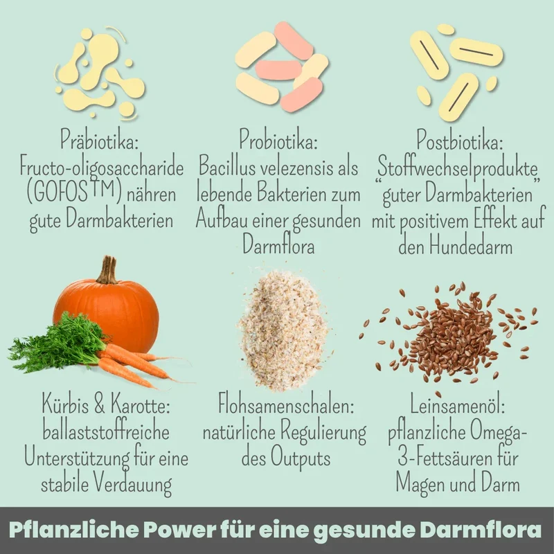 Noms+ Probio Belly Snacks für Hunde | Bei Durchfall & Verstopfung | Stärkt die Darmflora | Vegan & tierleidfrei | 200g