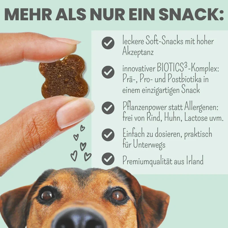 Noms+ Probio Belly Snacks für Hunde | Bei Durchfall & Verstopfung | Stärkt die Darmflora | Vegan & tierleidfrei | 200g