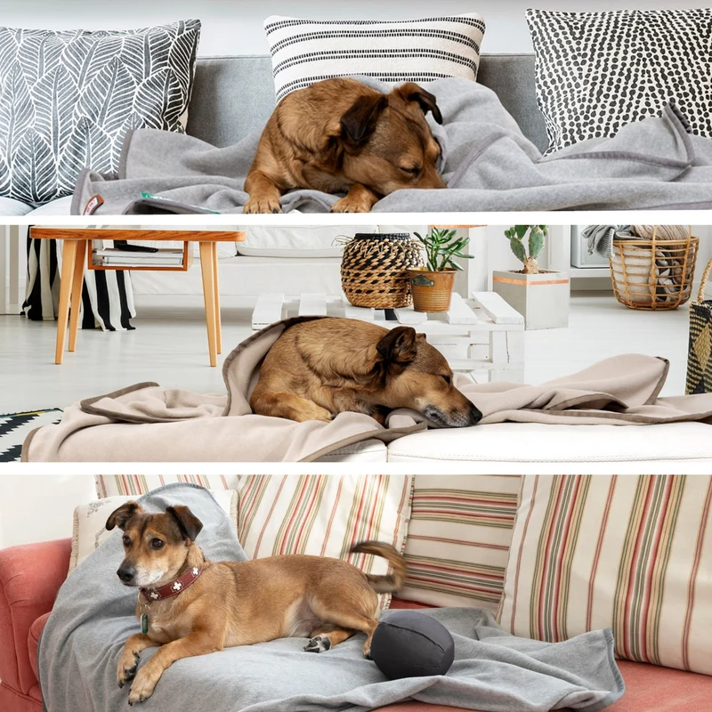 Doctor Bark Kuscheldecke für Hunde – Waschbar bis 95°C, Allergikerfreundlich & Made in Germany