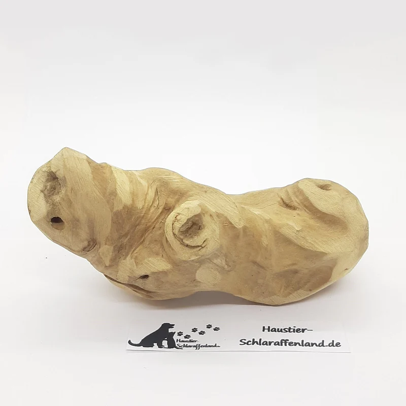 Kauwurzel aus Kaffeebaum