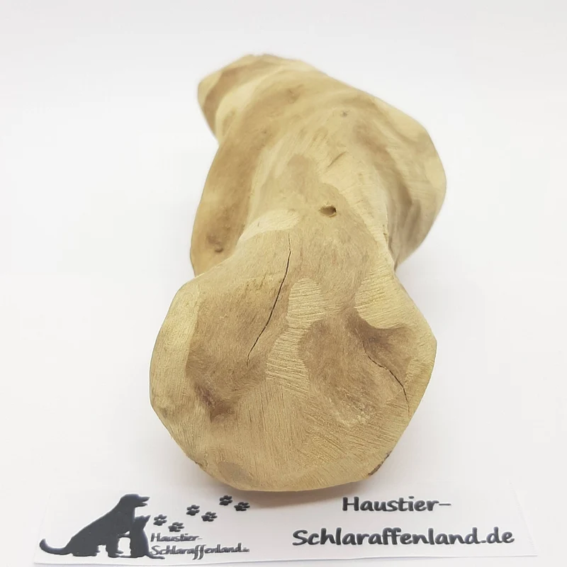 Kauwurzel aus Kaffeebaum