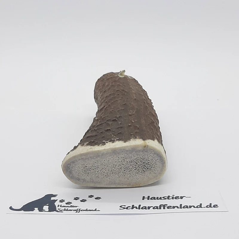 Hirschgeweih