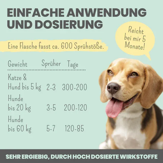 noms+ 3in1 Dental Box für Hunde | Natürlich & ohne Chemie | 100% vegan & tierleidfrei | Peta-zertifiziert