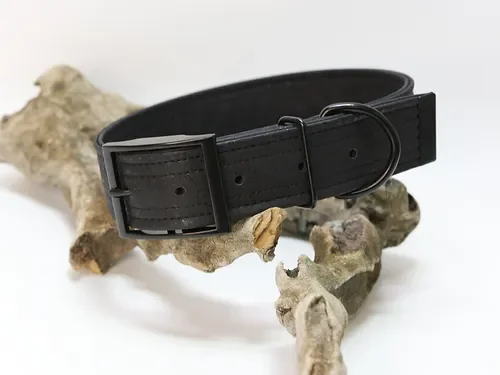 Hundehalsband mit Dornschnalle | Korkleder | Robust & Vegan | Schwarz/Schwarz