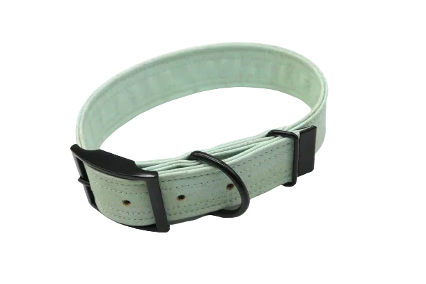 Hundehalsband mit Dornschnalle | Korkleder | Robust & Vegan | Mint/Schwarz