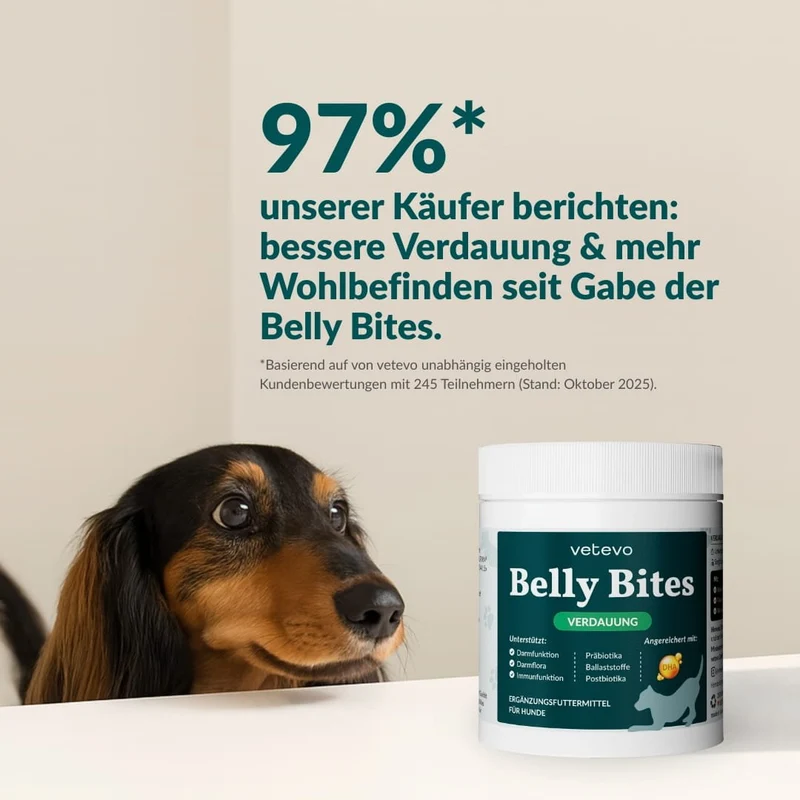 Vetevo Belly Bites 2.0 – Verdauungs-Snacks für Hunde mit Prä-, Pro- & Postbiotika, Kürbis & Algen | Für ein glückliches Hundebäuchlein