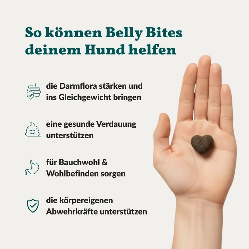 Vetevo Belly Bites 2.0 – Verdauungs-Snacks für Hunde mit Prä-, Pro- & Postbiotika, Kürbis & Algen | Für ein glückliches Hundebäuchlein