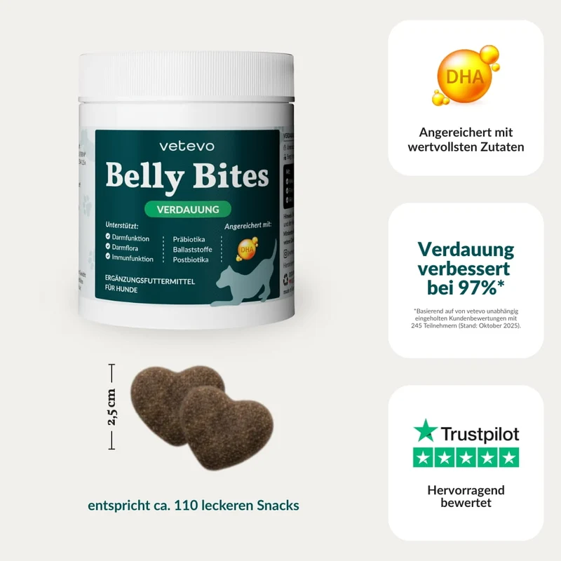 Vetevo Belly Bites 2.0 – Verdauungs-Snacks für Hunde mit Prä-, Pro- & Postbiotika, Kürbis & Algen | Für ein glückliches Hundebäuchlein