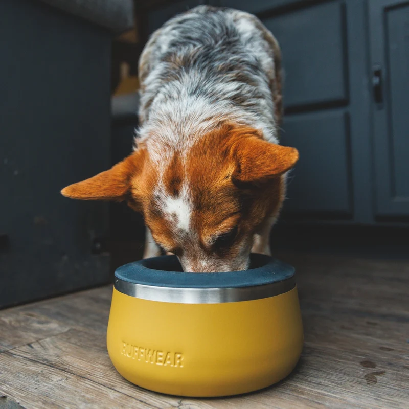 Ruffwear Basecamp Bowl – Robuster Premium Hundenapf aus Edelstahl für Outdoor-Abenteuer & Zuhause