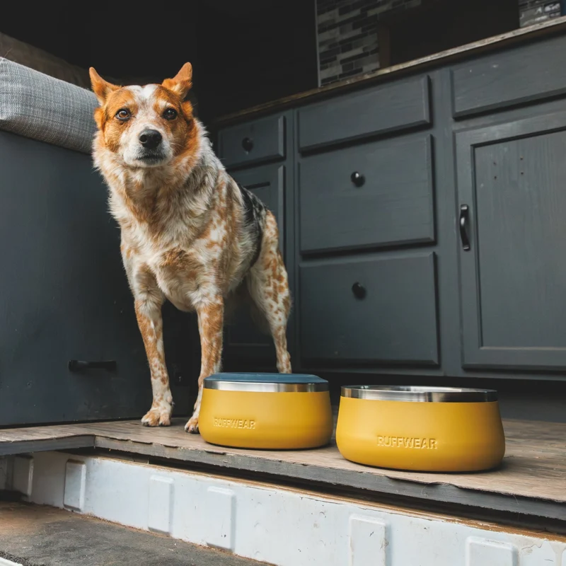 Ruffwear Basecamp Bowl – Robuster Premium Hundenapf aus Edelstahl für Outdoor-Abenteuer & Zuhause