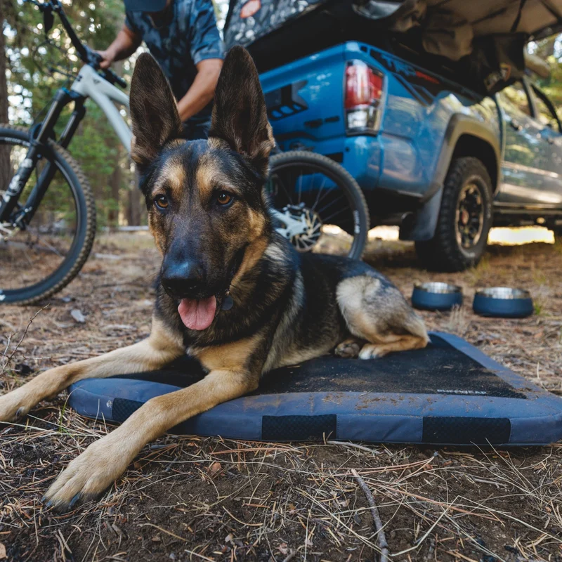 Ruffwear Basecamp Bowl – Robuster Premium Hundenapf aus Edelstahl für Outdoor-Abenteuer & Zuhause