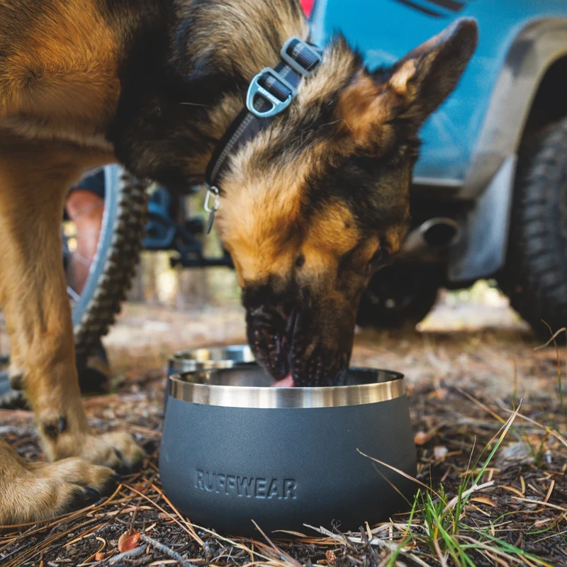 Ruffwear Basecamp Bowl – Robuster Premium Hundenapf aus Edelstahl für Outdoor-Abenteuer & Zuhause