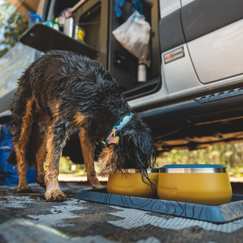 Ruffwear Basecamp Bowl – Robuster Premium Hundenapf aus Edelstahl für Outdoor-Abenteuer & Zuhause